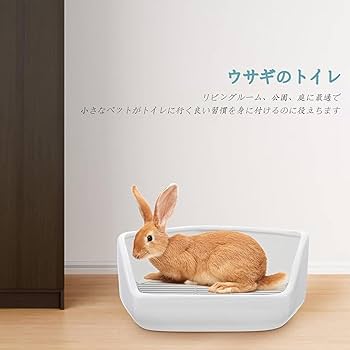 うさぎ用★個人宅使用ケージ、三角形トイレ・お皿付き良品 Amazon | うさぎ トイレ 陶器 飼育ケージ内装 五角形 兎 トイレ